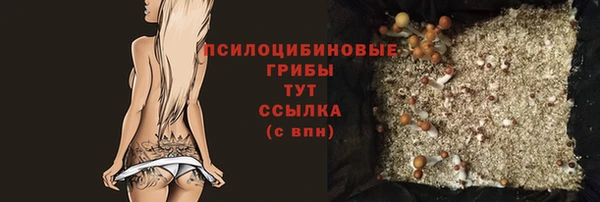 PSILOCYBIN Балабаново