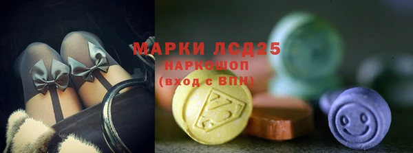 стаф Белокуриха
