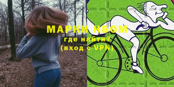 стаф Белокуриха