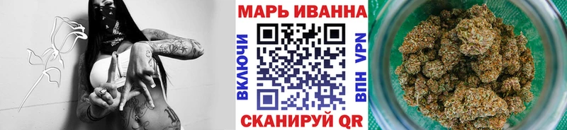 Канабис сатива  Кола 